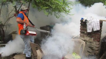 La Sesal reporta disminución de casos de dengue