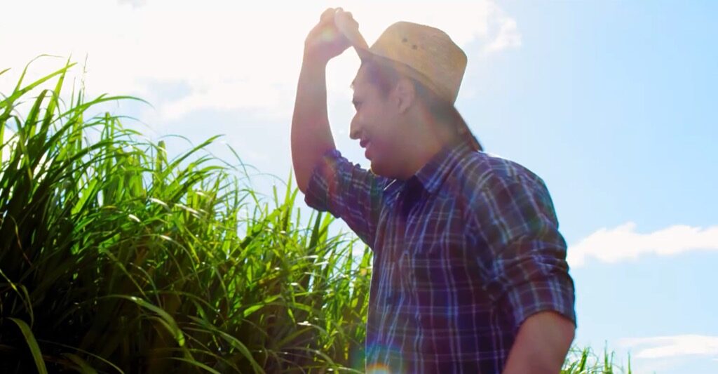 Scotland’s crannogs older than Stonehenge