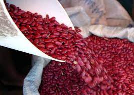 Scotland’s crannogs older than Stonehenge