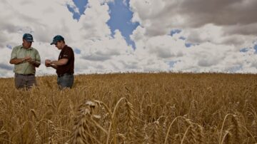 Syngenta presenta la plataforma #PROagricultor en Honduras