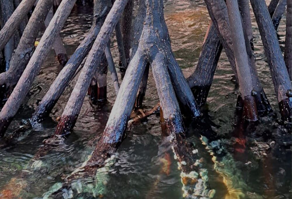 Scotland’s crannogs older than Stonehenge