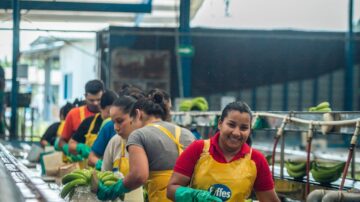 Fyffes publica su segundo informe de sostenibilidad y avance en sus metas