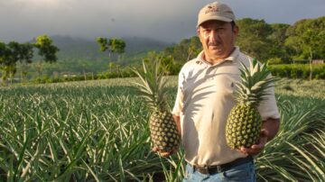 Gustavo Ferrera Quiroz, productor agrícola: “Recibir un precio justo por nuestros  productos ha sido la mejor recompensa”