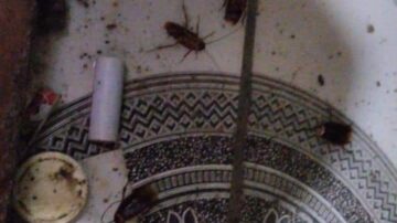 La ARSA cierra temporalmente restaurante en la ciudad de Choluteca por pésimas condiciones higiénico-sanitarias