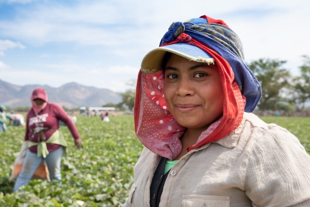 Scotland’s crannogs older than Stonehenge