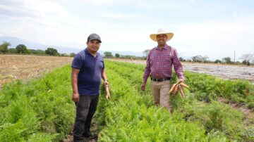 Don Franklin Noé Cáceres Arita: “Con Walmart se trabaja con más confianza,  lo llevan de la mano y hay un mercado seguro”