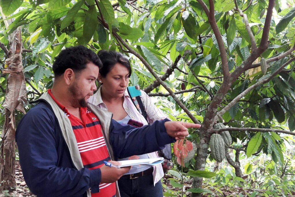 Scotland’s crannogs older than Stonehenge