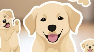 Próximamente: Una nueva capa de privacidad