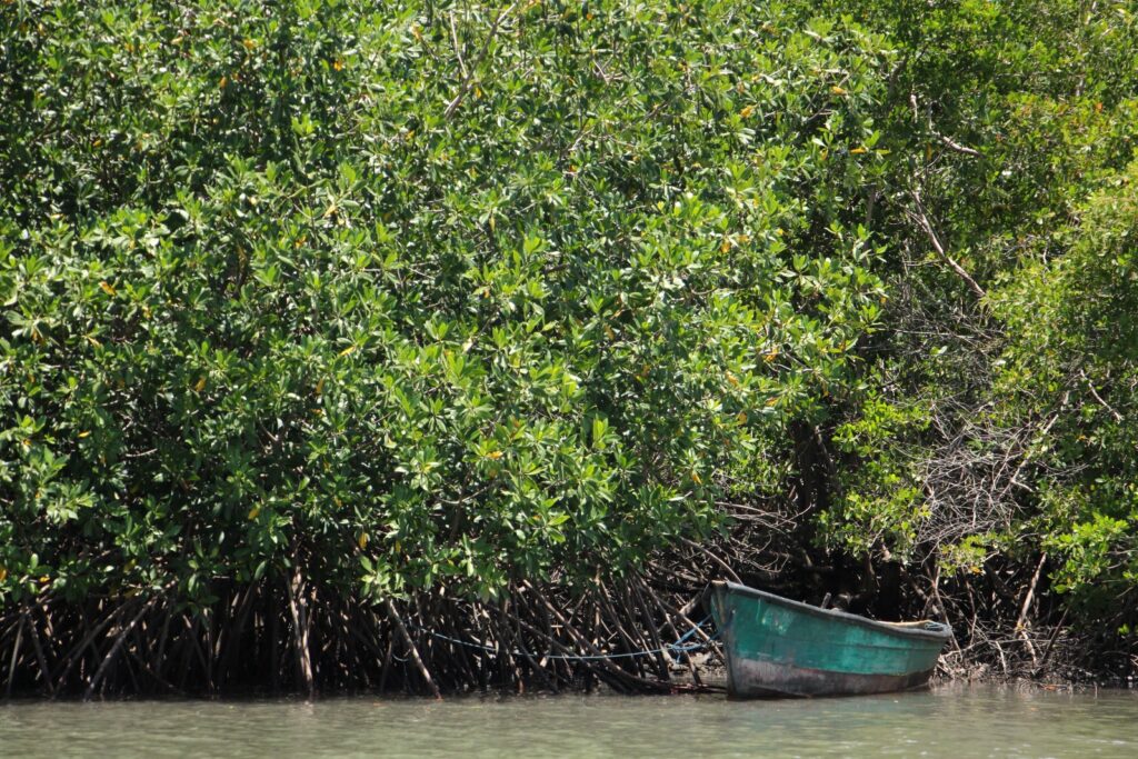 Scotland’s crannogs older than Stonehenge