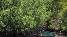 Organizaciones comunitarias invitadas a postular proyectos de biodiversidad, degradación de tierra y cambio climático