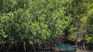 Organizaciones comunitarias invitadas a postular proyectos de biodiversidad, degradación de tierra y cambio climático