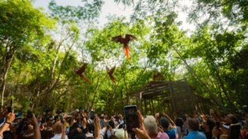 BAC respalda el turismo y la cultura hondureña con su participación en Guacamaya Fest y Gracias Convoca 2026