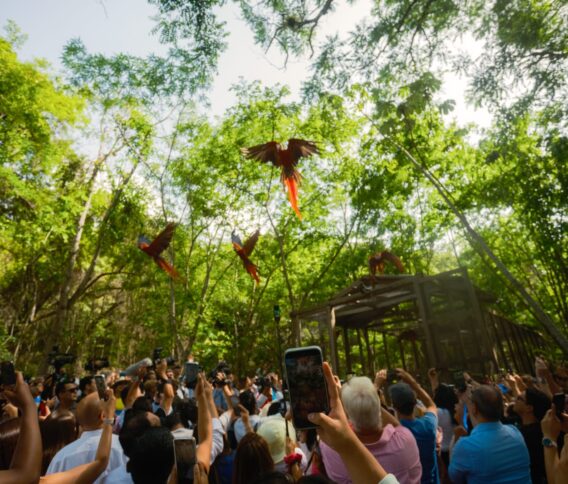 BAC respalda el turismo y la cultura hondureña con su participación en Guacamaya Fest y Gracias Convoca 2026
