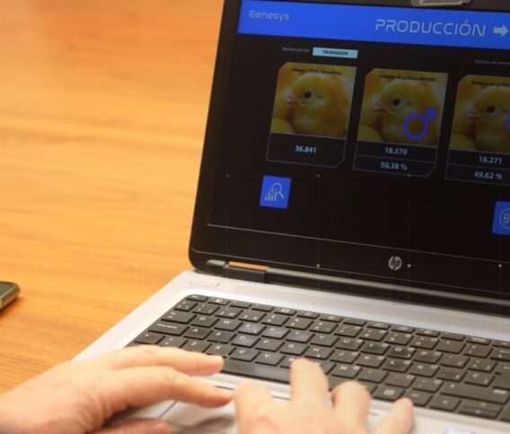 Cuando la inteligencia artificial se convierte en aliada del bienestar animal y el futuro de la alimentación